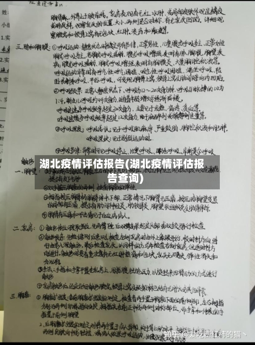 湖北疫情评估报告(湖北疫情评估报告查询)-第3张图片