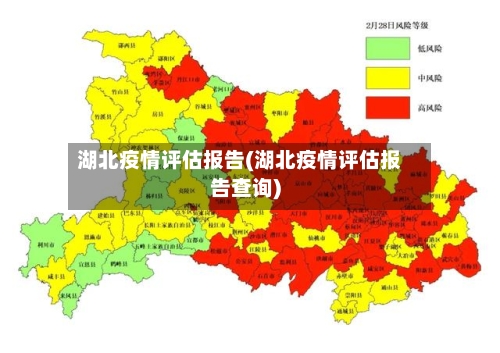 湖北疫情评估报告(湖北疫情评估报告查询)-第2张图片