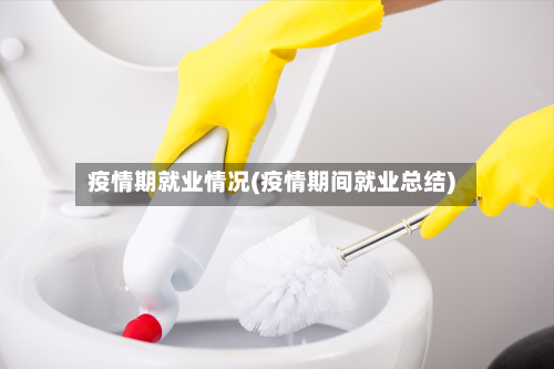 疫情期就业情况(疫情期间就业总结)