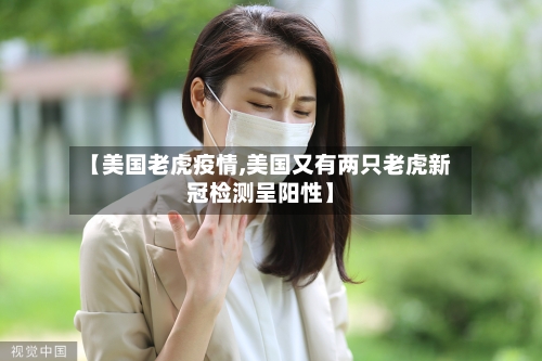 【美国老虎疫情,美国又有两只老虎新冠检测呈阳性】-第2张图片