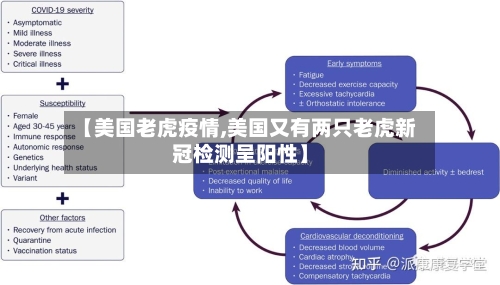 【美国老虎疫情,美国又有两只老虎新冠检测呈阳性】