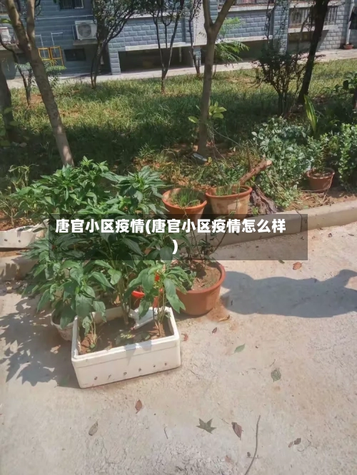 唐官小区疫情(唐官小区疫情怎么样)