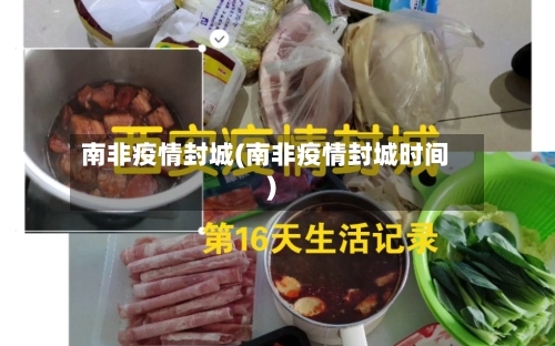 南非疫情封城(南非疫情封城时间)-第2张图片