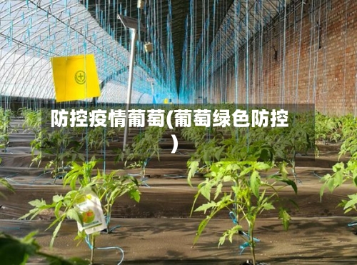 防控疫情葡萄(葡萄绿色防控)-第3张图片