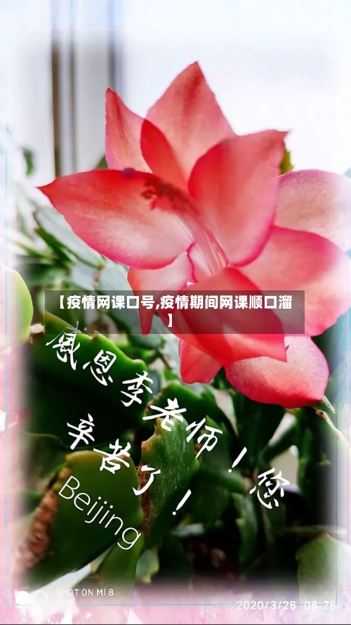 【疫情网课口号,疫情期间网课顺口溜】-第2张图片