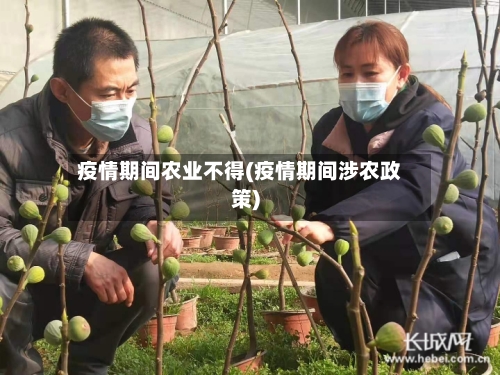 疫情期间农业不得(疫情期间涉农政策)