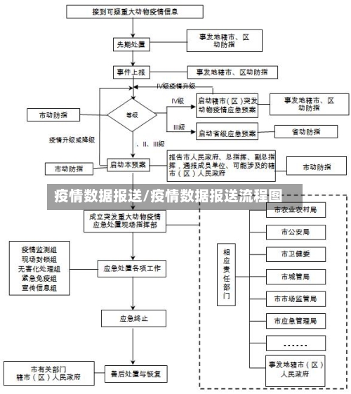 疫情数据报送/疫情数据报送流程图-第2张图片