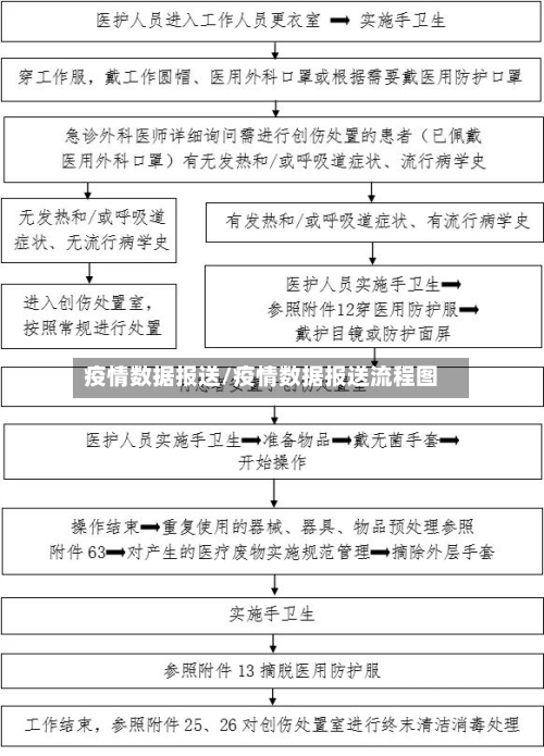 疫情数据报送/疫情数据报送流程图-第3张图片