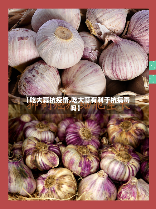 【吃大蒜抗疫情,吃大蒜有利于抗病毒吗】