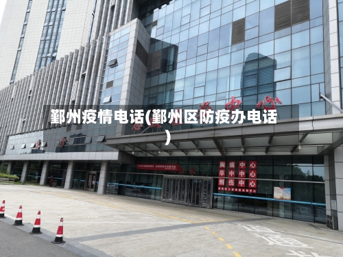 鄞州疫情电话(鄞州区防疫办电话)-第2张图片