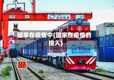 国家在疫情中(国家在疫情的投入)-第3张图片