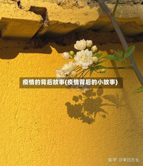 疫情的背后故事(疫情背后的小故事)