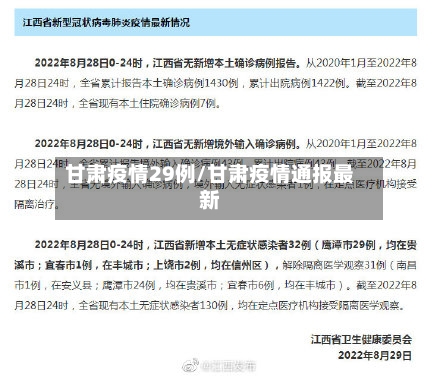 甘肃疫情29例/甘肃疫情通报最新-第3张图片
