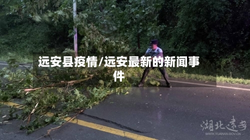远安县疫情/远安最新的新闻事件