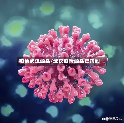 疫情武汉源头/武汉疫情源头已找到-第3张图片