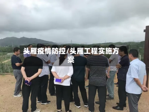 头雁疫情防控/头雁工程实施方案