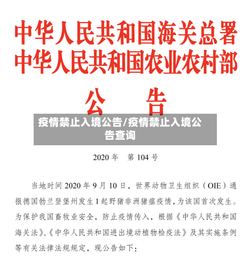 疫情禁止入境公告/疫情禁止入境公告查询-第2张图片