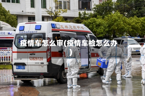 疫情车怎么审(疫情车检怎么办)