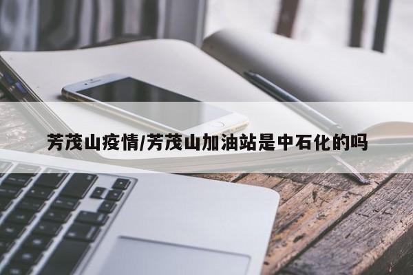 芳茂山疫情/芳茂山加油站是中石化的吗
