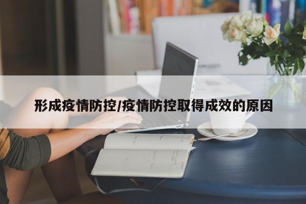 形成疫情防控/疫情防控取得成效的原因