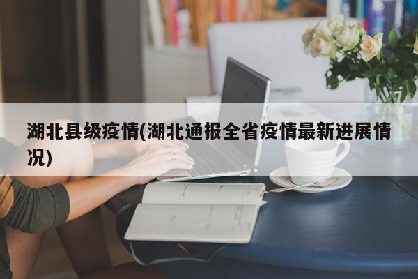 湖北县级疫情(湖北通报全省疫情最新进展情况)